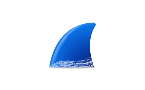 Wireshark v4.4.7 便携版
