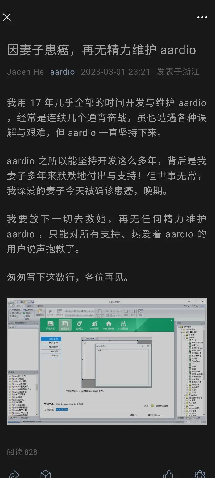 因妻子患癌，持续17年的编程语言aardio宣布停更